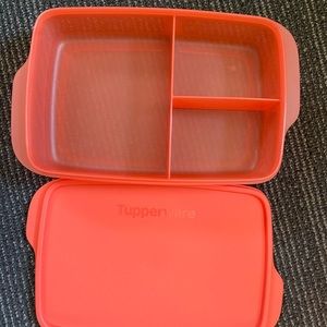 NEW TUPPERWARE LARGE LUNCH-IT® CONTAINER.